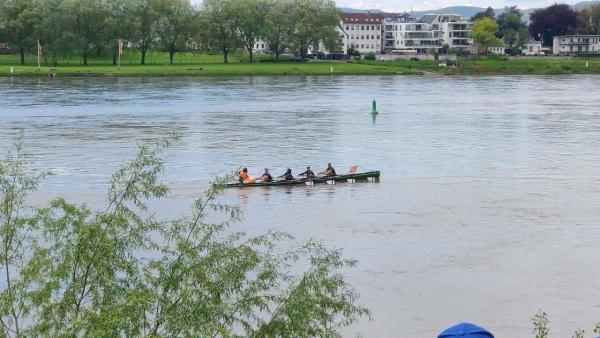 Neuwied EUREGA Marathon RUderboot 2024