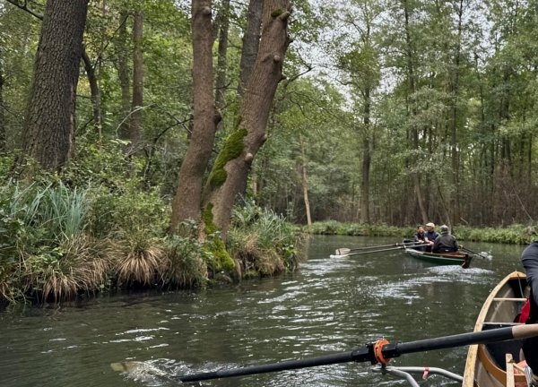 Ruderboote im Spreewald 2024